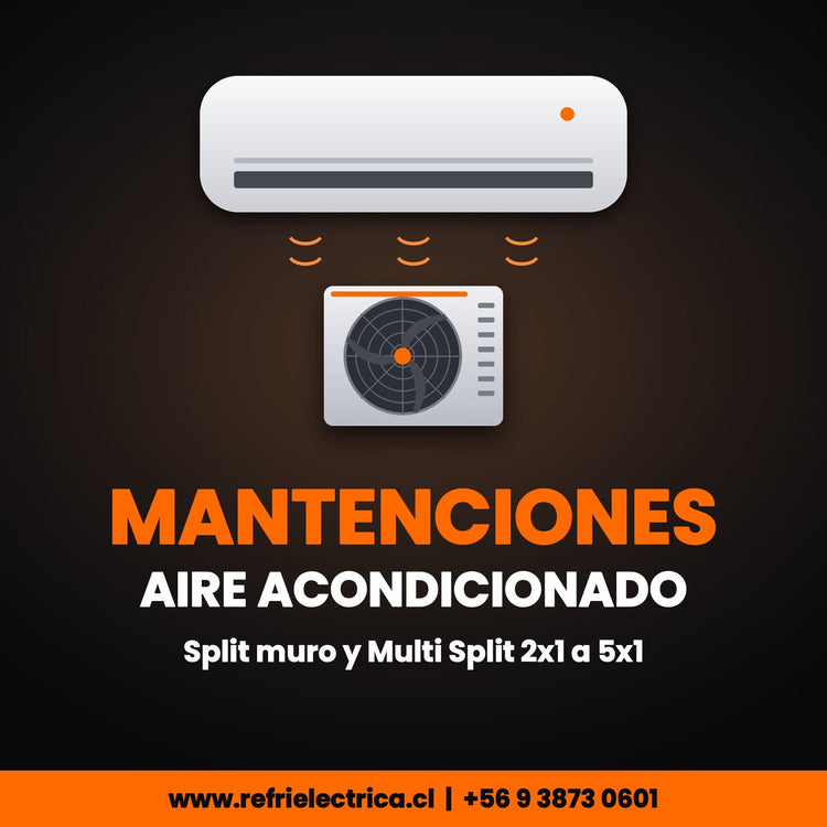 Mantenciones